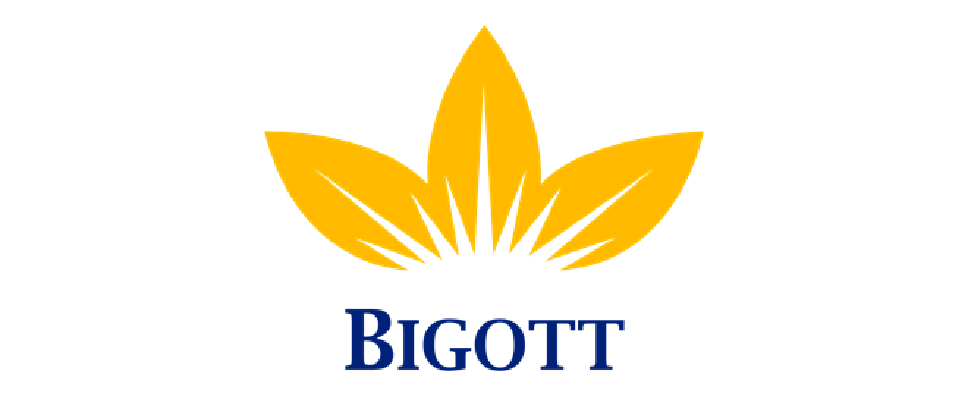 logo-bigott